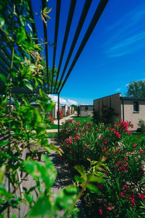 San Servolo Wellness Homes Buje Exterior foto